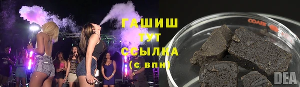 мдпв Бородино