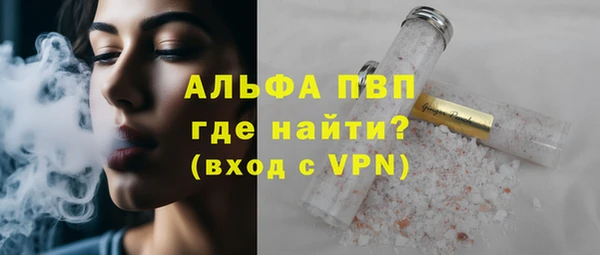 мдпв Бородино