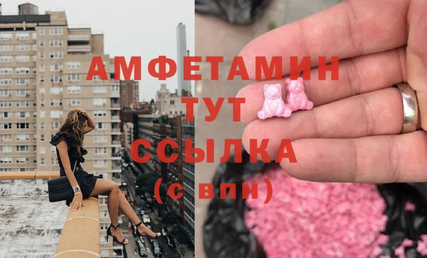 мдпв Бородино