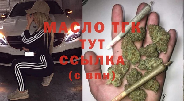 мдпв Бородино