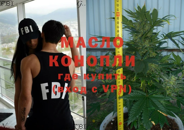 мдпв Бородино