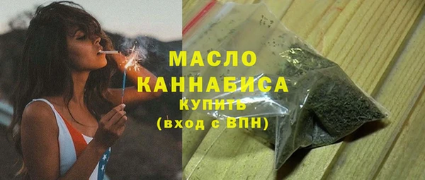 мдпв Бородино